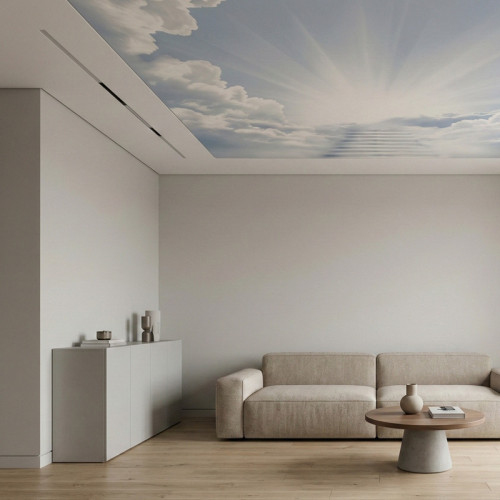 Цена 3Д натяжного потолка