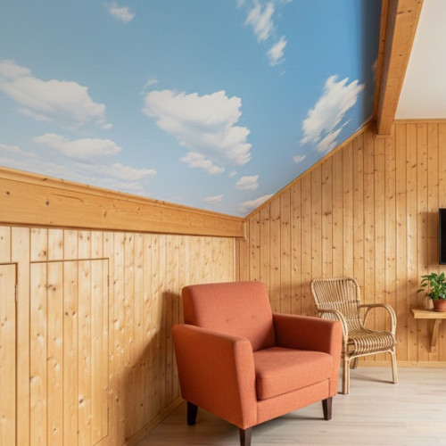 Цена натяжного потолка со звукоизоляцией в доме