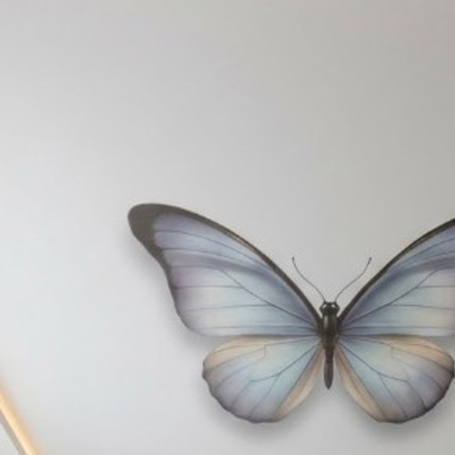 Фото и цена натяжного потолка 3Д