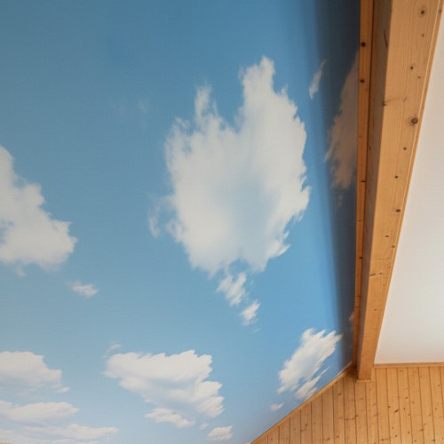 Цена натяжного потолка со звукоизоляцией в доме